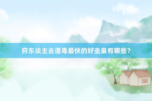 穷东谈主去湿毒最快的好圭臬有哪些？